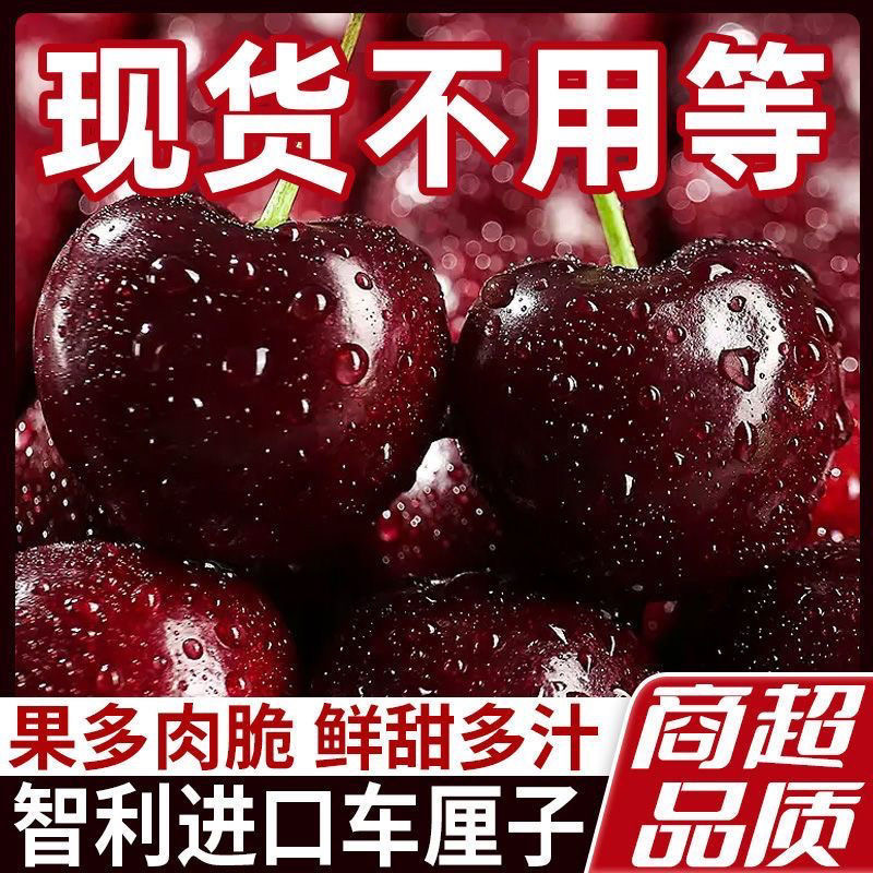 【顺丰】新鲜智利车厘子脆甜桑提娜进口水果大樱桃礼盒整箱批发黑珍珠可选净重2KG-2.5KG 3J-5J