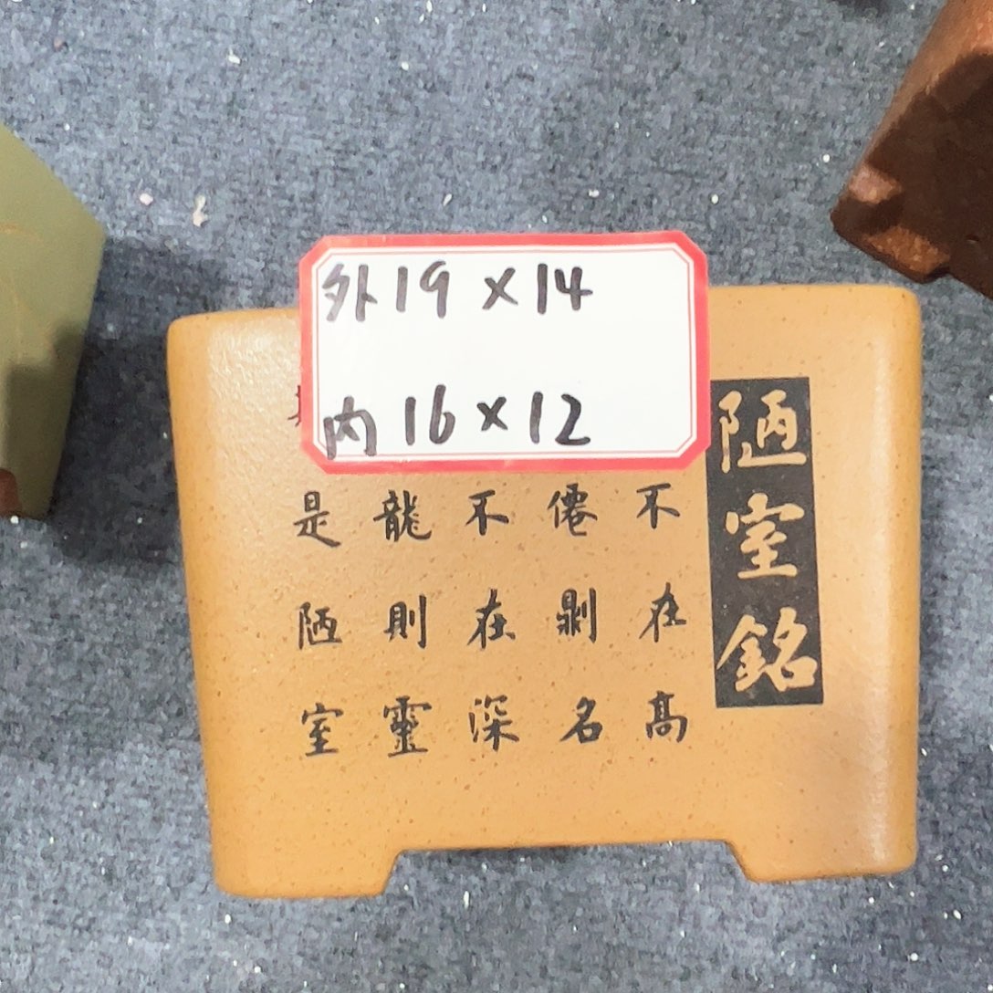 紫砂其他紫砂花盆