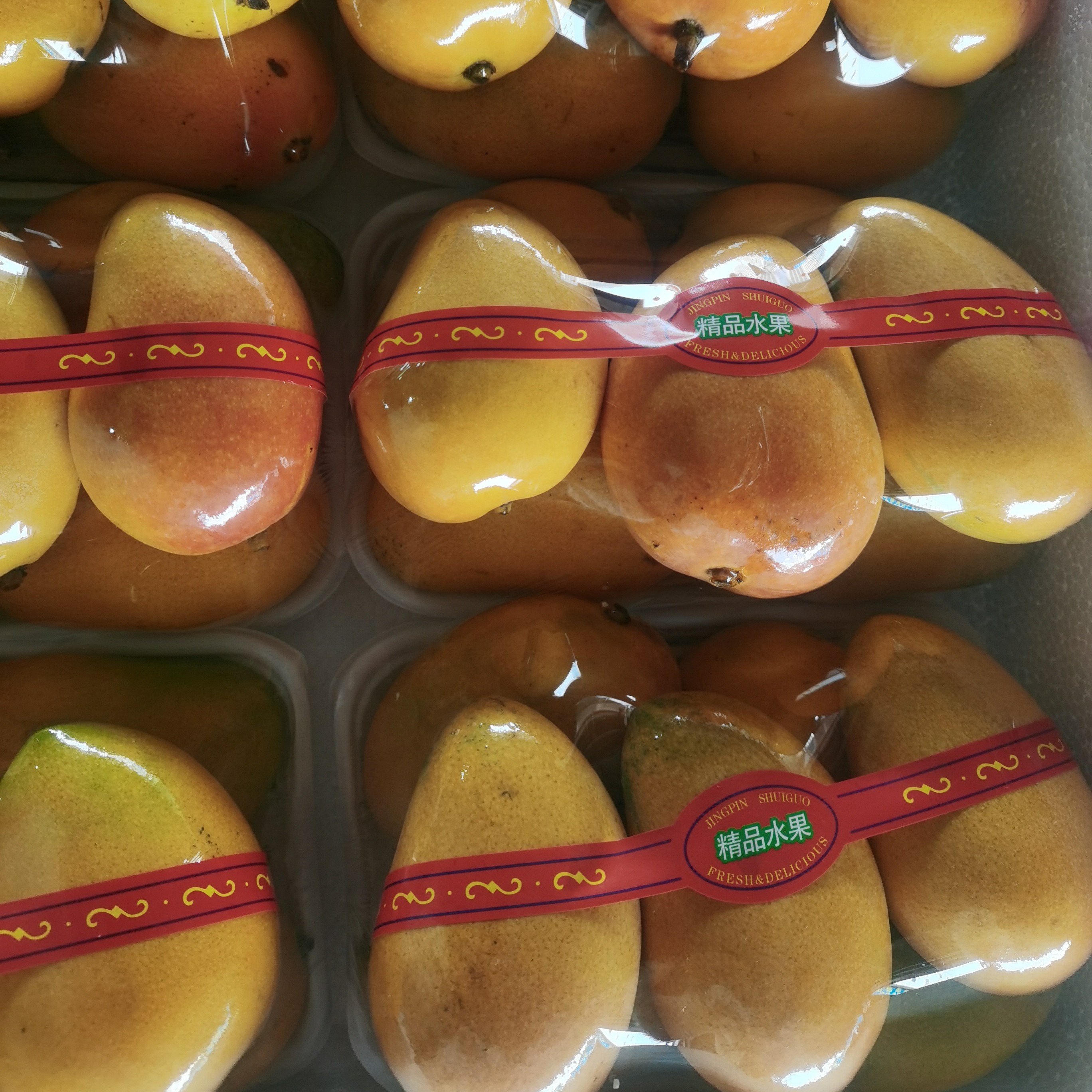 海南精品小苔芒，净重5斤