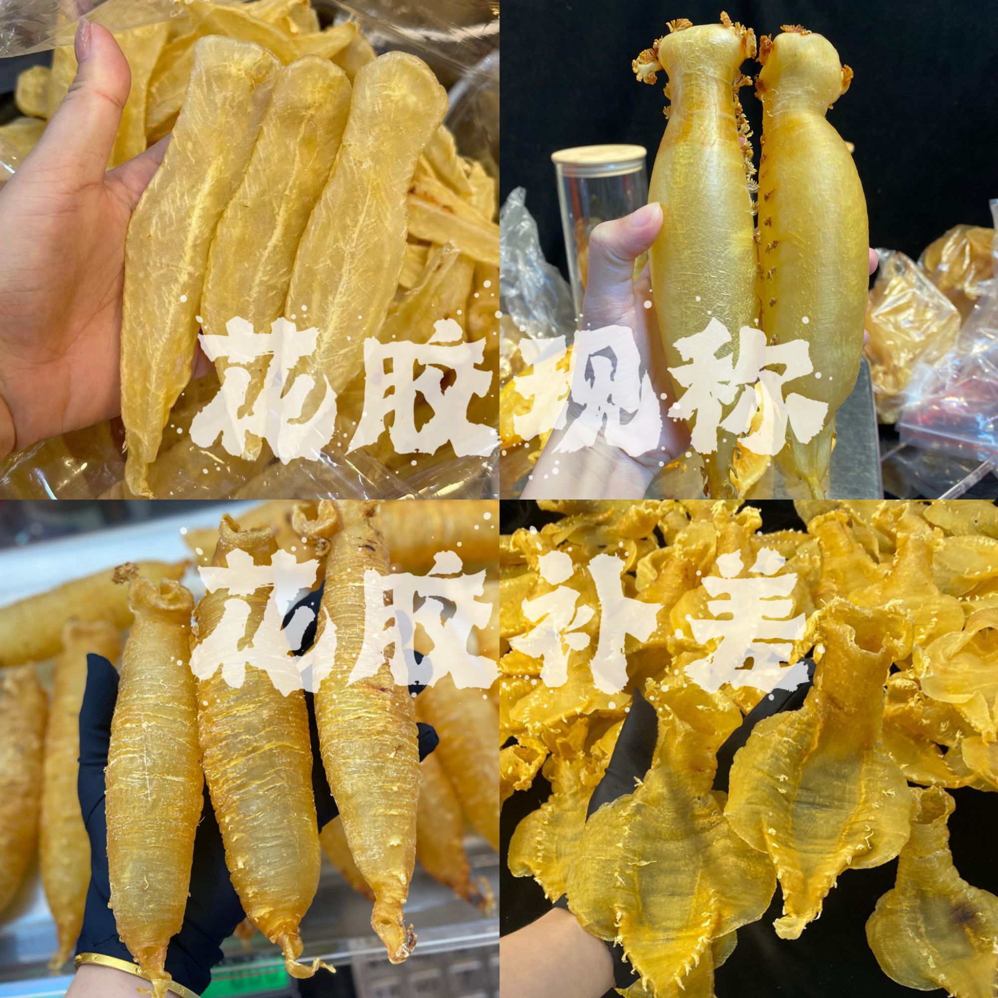 鱼胶 孕期滋补海产品 改价 养生鱼胶1-500g