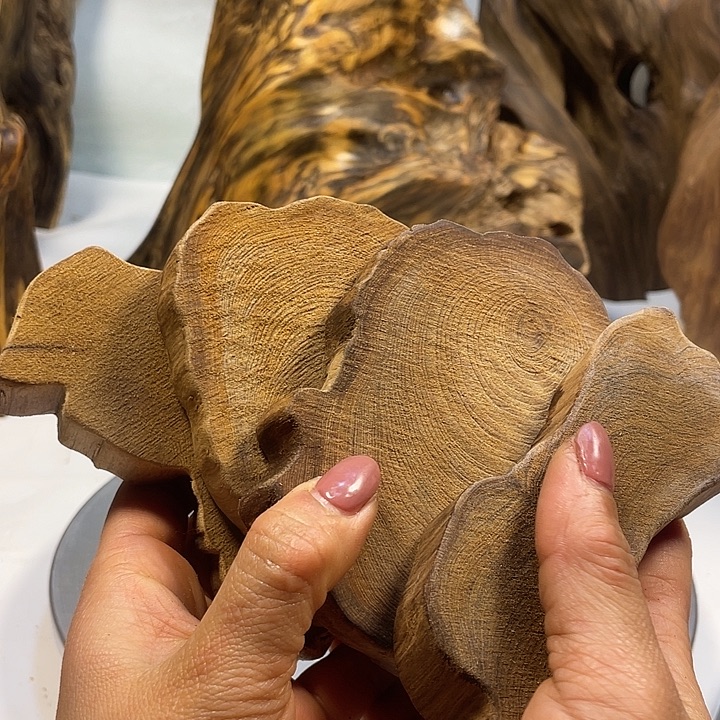 山***虎木直播间一物一拍切块