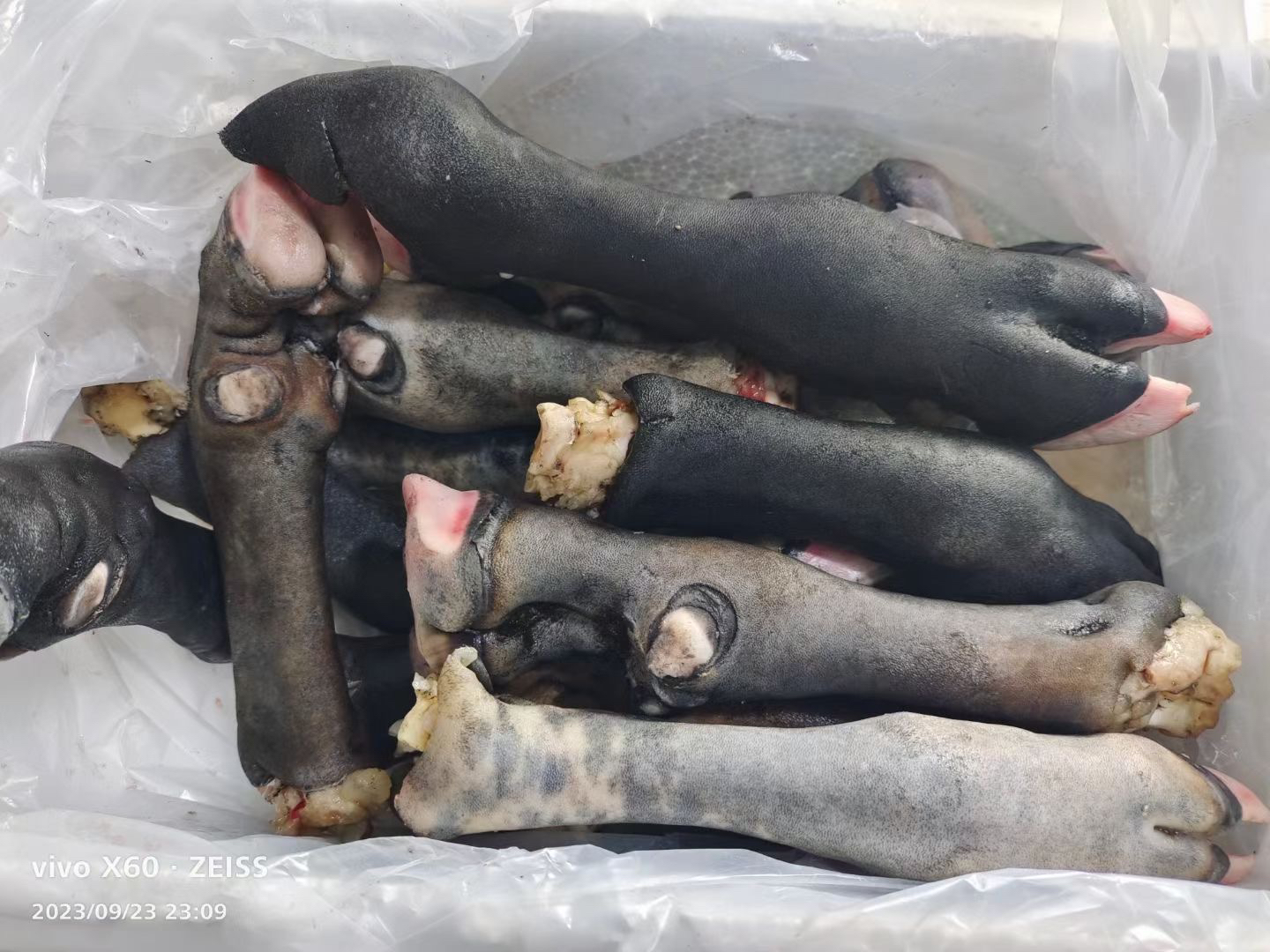 清真黑羊蹄 （带毛根 介意勿拍）带蹄筋