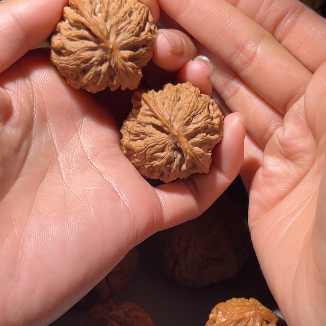 明***。桃核把件苹果园40