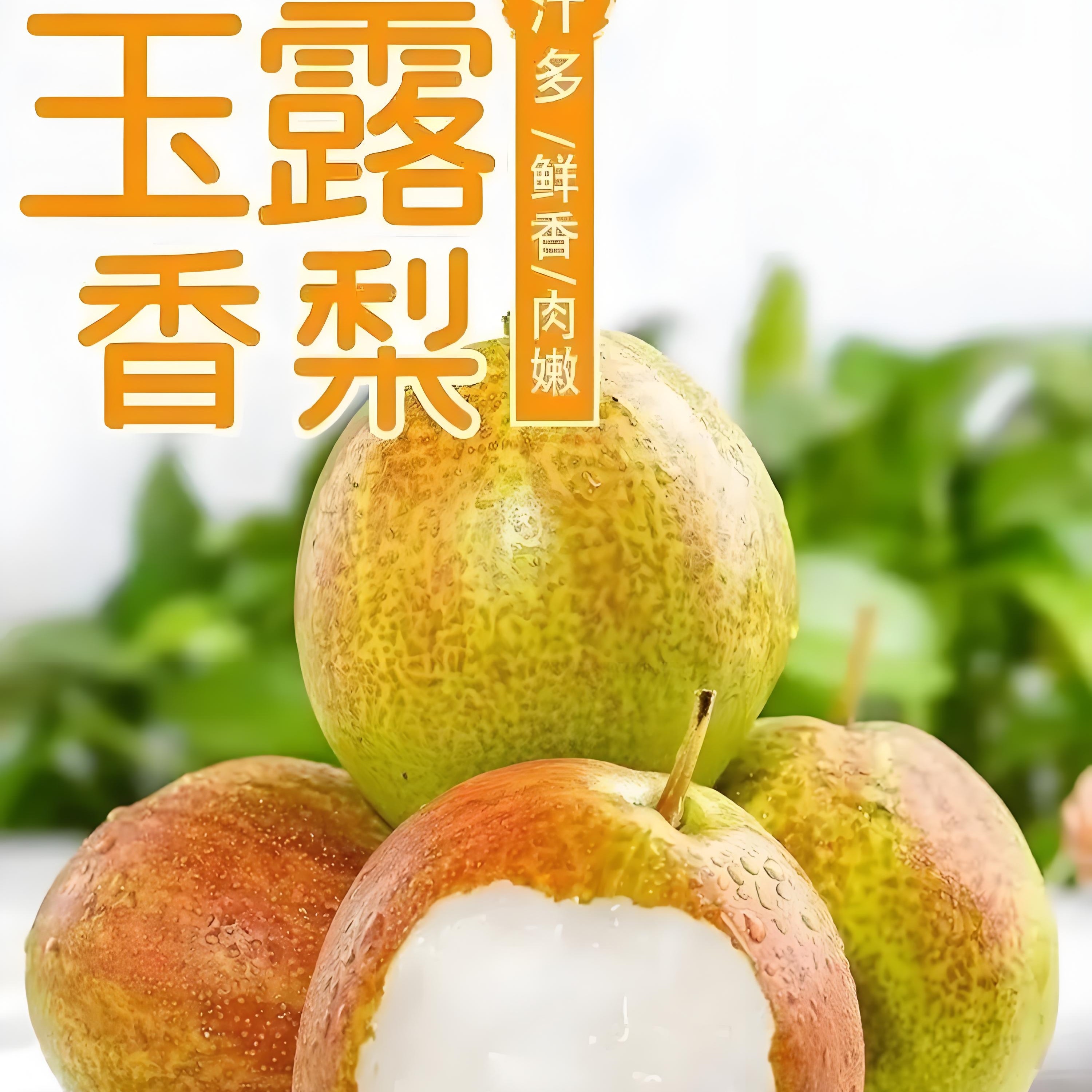 山西特产玉露香梨（梨中珍品，皮薄肉细，入口无渣）900--1000克