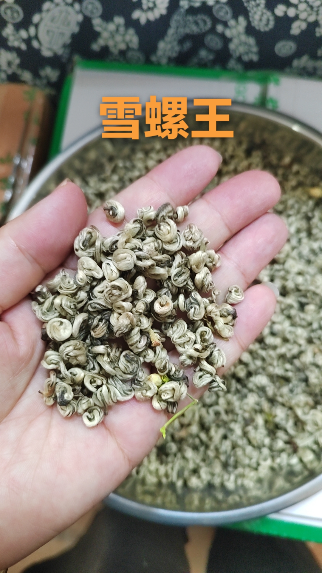 茉莉玉螺王茉莉花茶浓香型新茶叶冷泡佳品