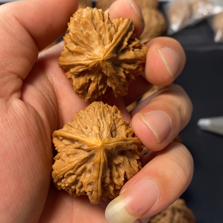 道***哥把件桃核4688644678