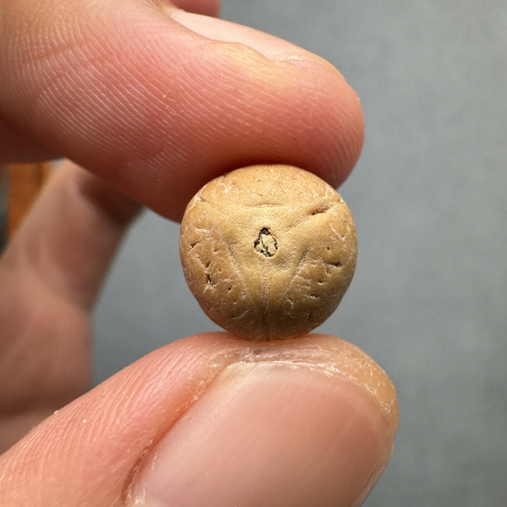 11+尼泊尔实心龙眼凤眼手串佛塔顶珠腰珠侧挂背云，开孔不退wj0826