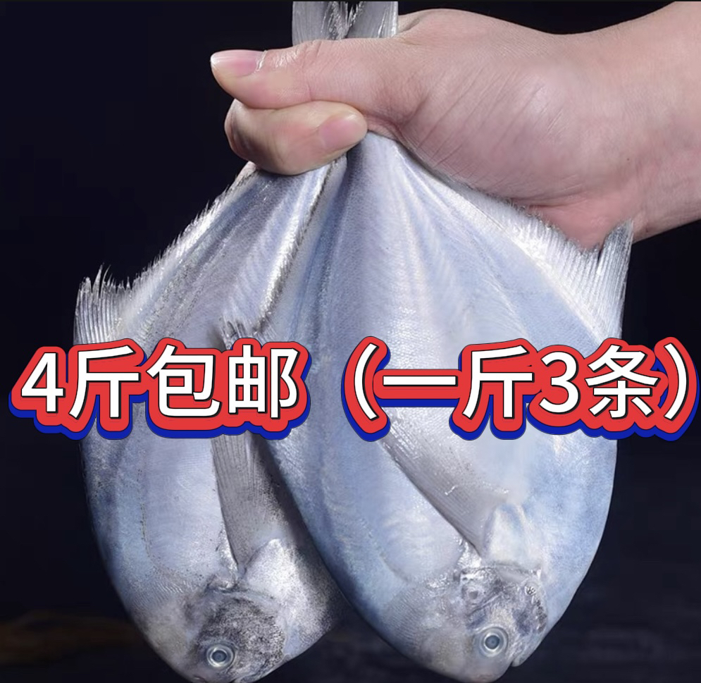 新鲜银鲳鱼 4斤（一斤3条）顺丰包邮液氮锁鲜发货