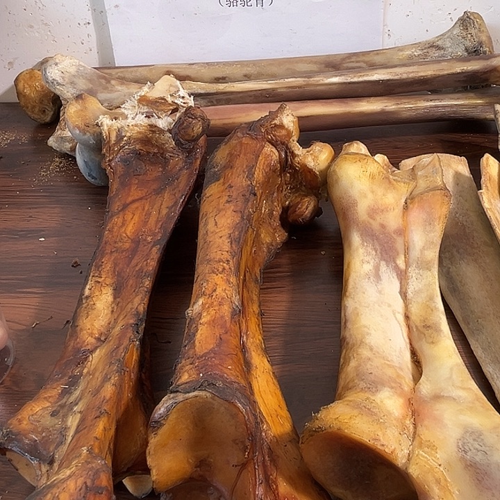 宽***厚hhhu大腿骨大腿骨大腿骨大腿骨