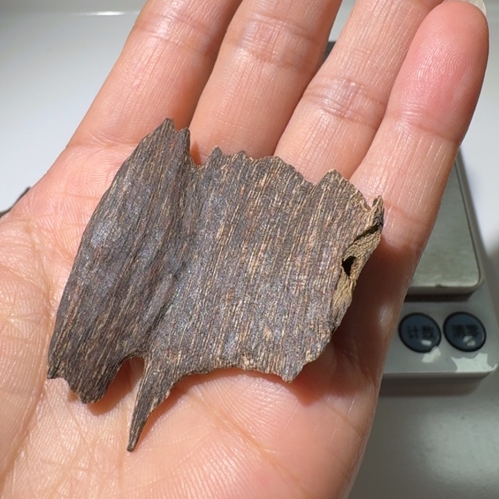 楠木薰香虫漏块料3克