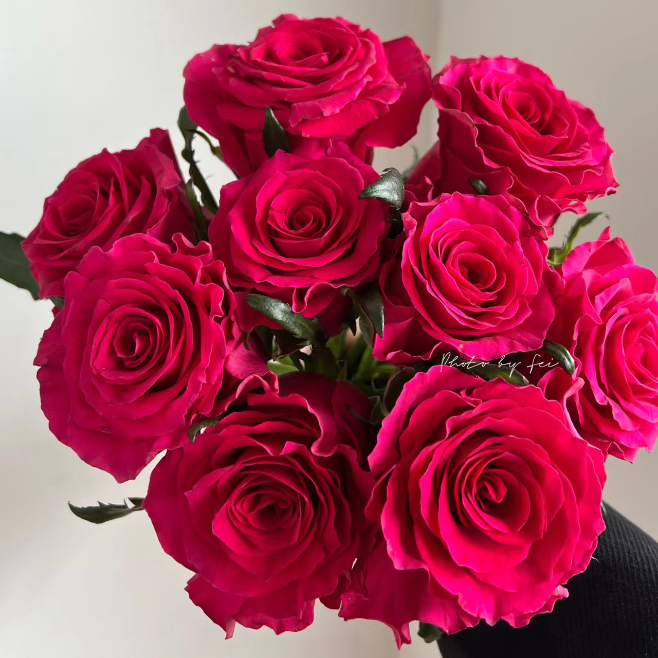 氧花季 高胜玫瑰18支+2支防损 收到先醒花云南直发