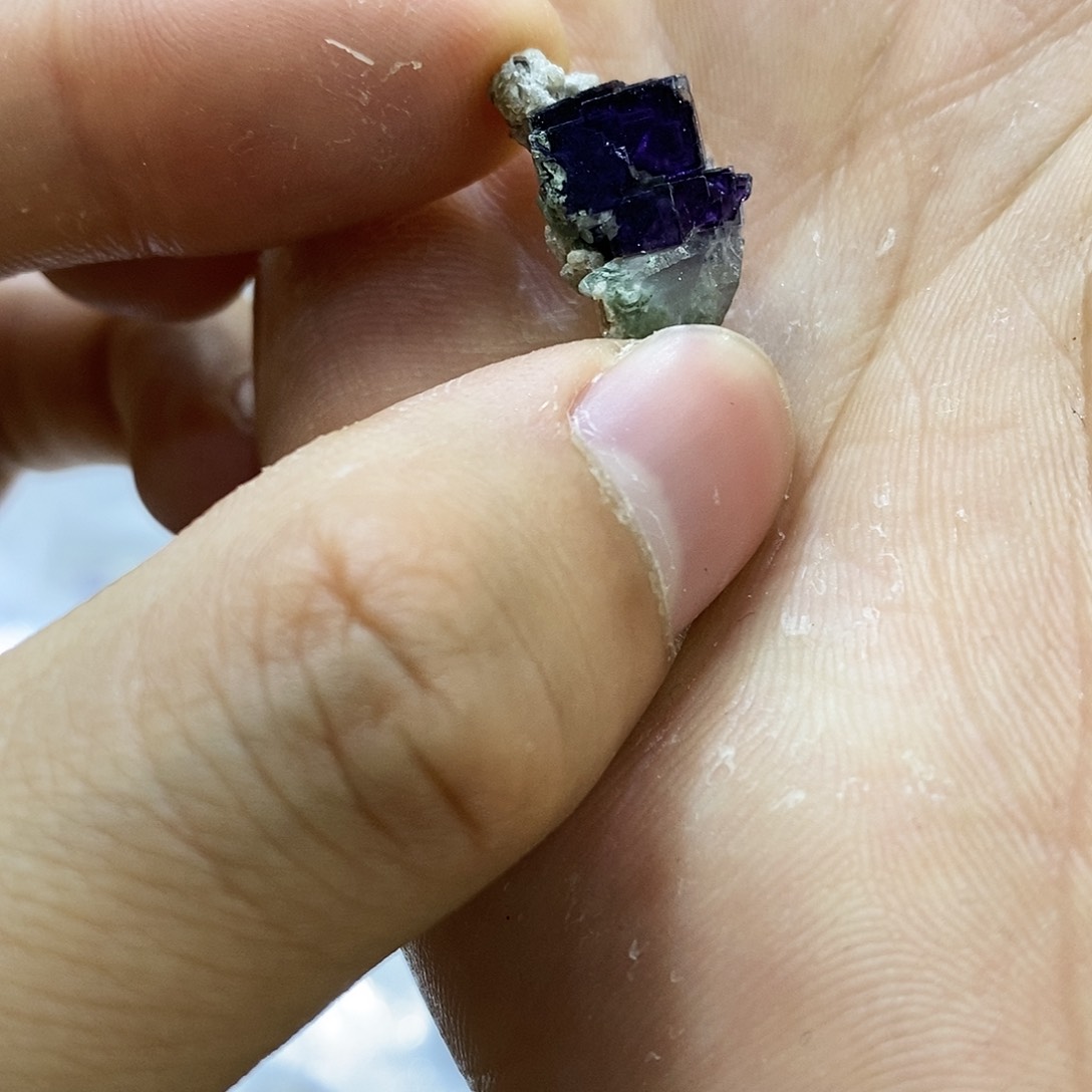 紫晶水晶水晶水晶水晶未镶嵌羊*