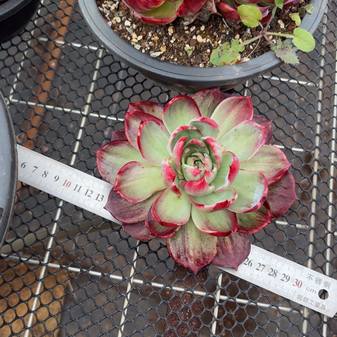 回***法哈哈哈哈好吧哈哈宝贝宝贝吧