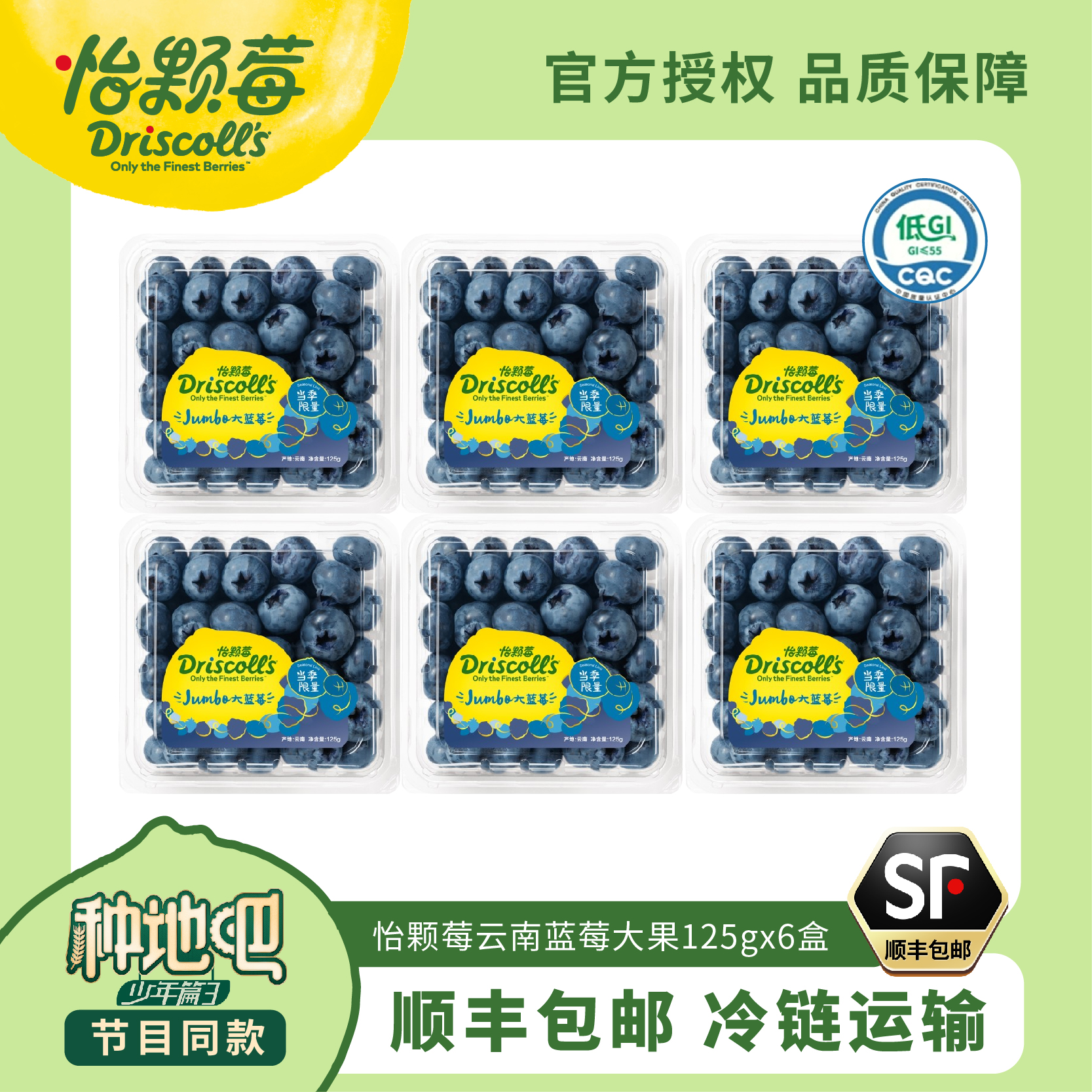 Driscoll's/怡颗莓云南蓝莓当季限量大果125g*6盒新鲜采摘