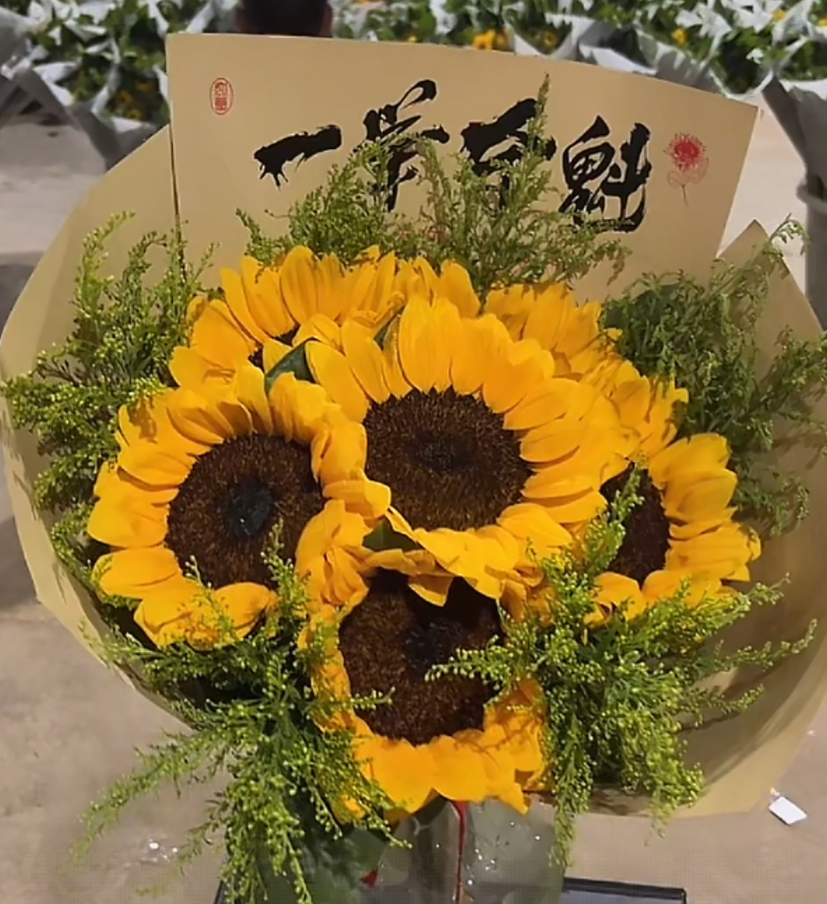 【毕业季向日葵】云南基地直发向日葵花期超长太阳花教师节礼物