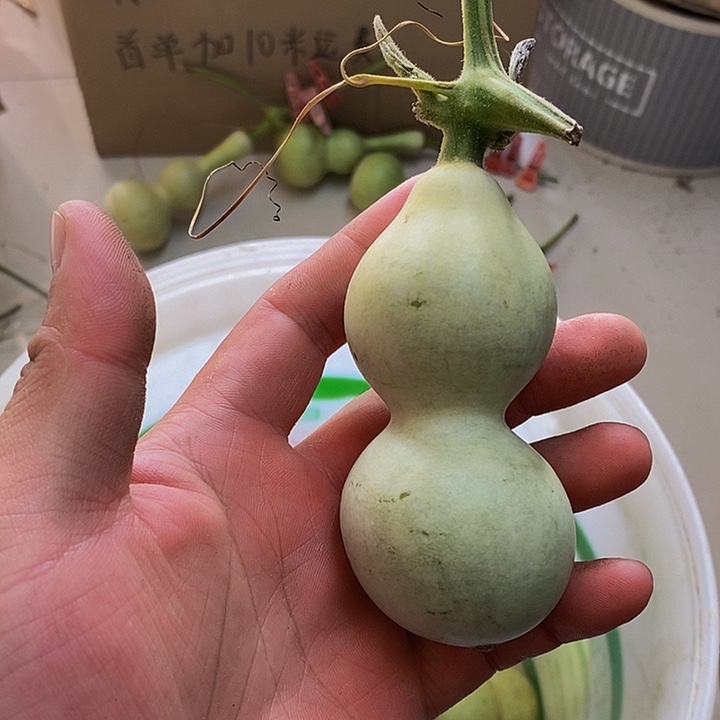 清*长嘴哈哈哈哈哈哈哈哈哈哈哈哈哈哈哈哈哈好