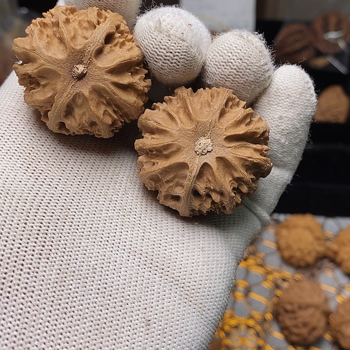 文玩核桃把件锅*秦岭野生灯笼