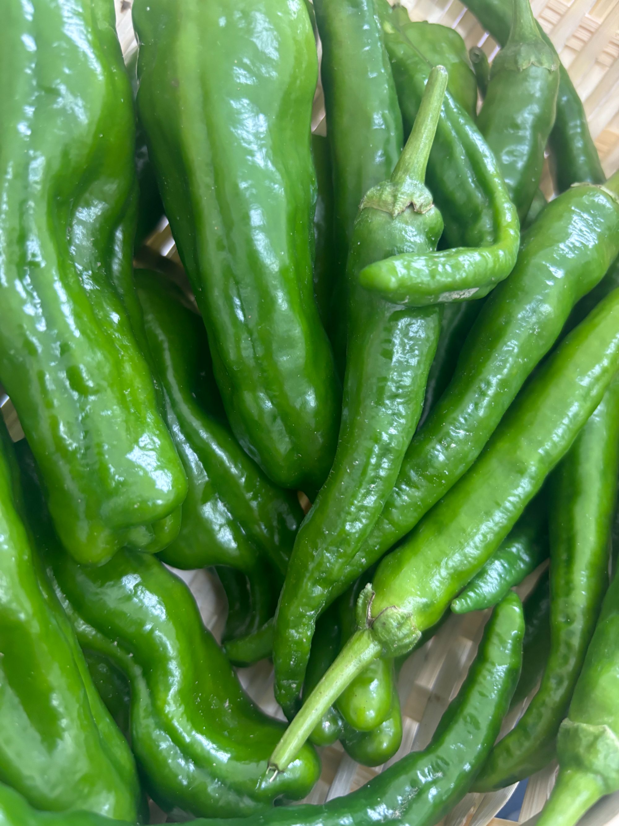 （村委助农）幕阜乡味农家自家种植本地新鲜辣椒