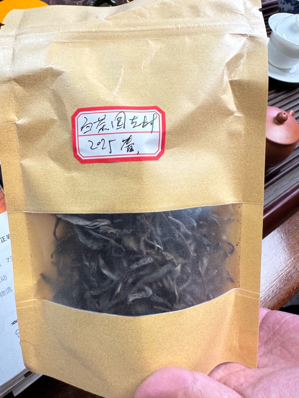 《厂长福利》2025年白茶园生茶6克