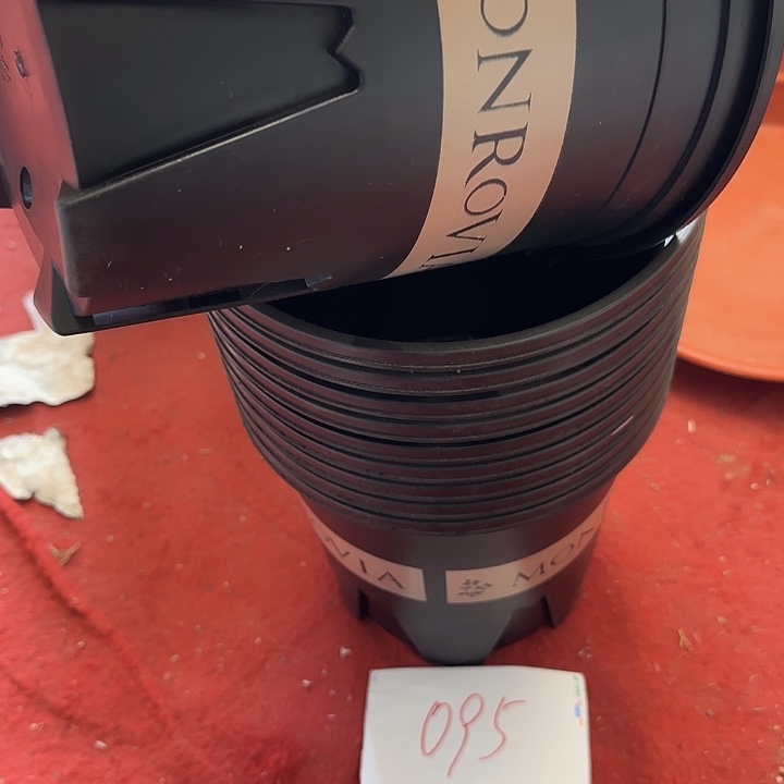 编号是095号的095号的