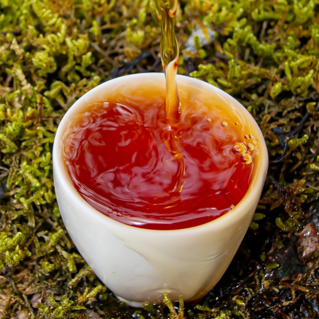 【惊喜福利】 武夷岩茶 精选好茶