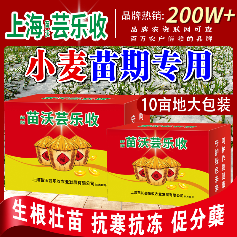 【10亩地大包装】8合一小麦冬季生根壮苗抗寒抗冻促分蘖