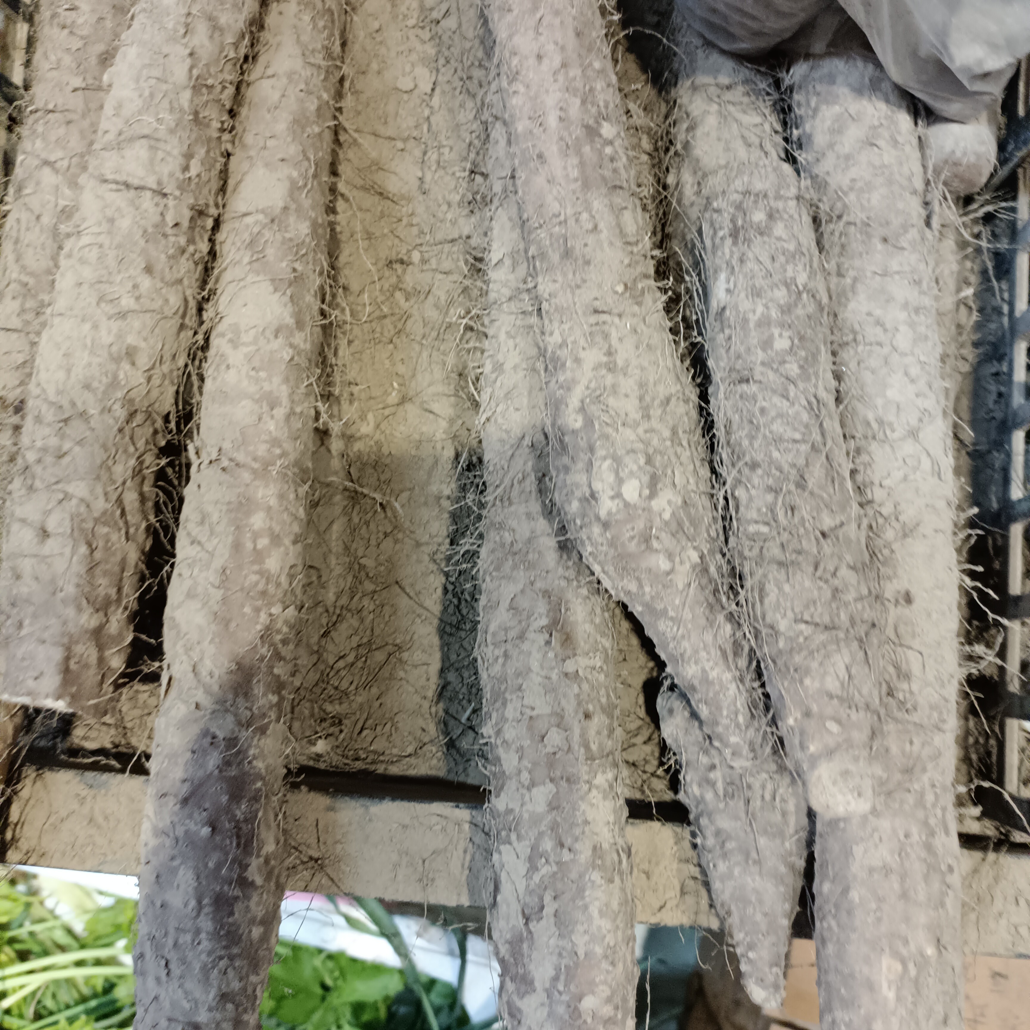 新鲜山药 约500g±50g