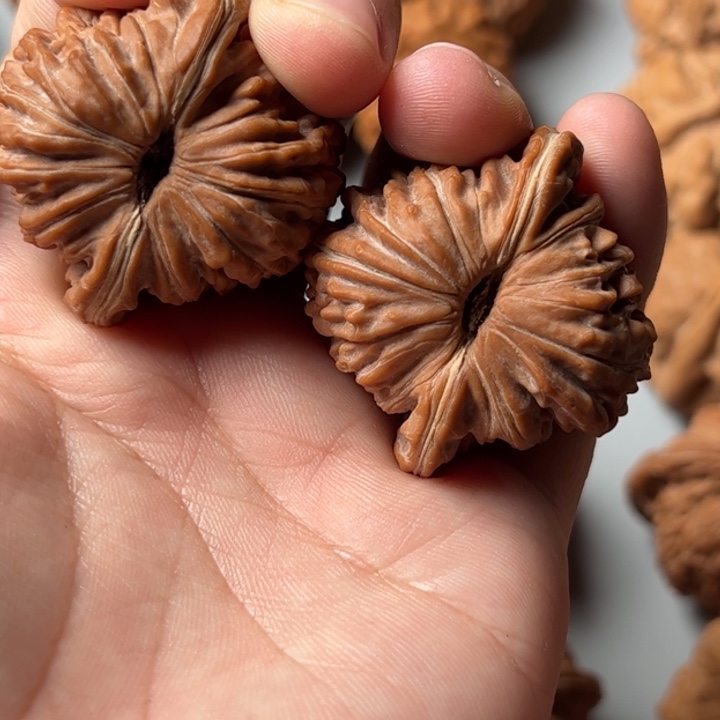 无***一41全品红皮四座楼123456