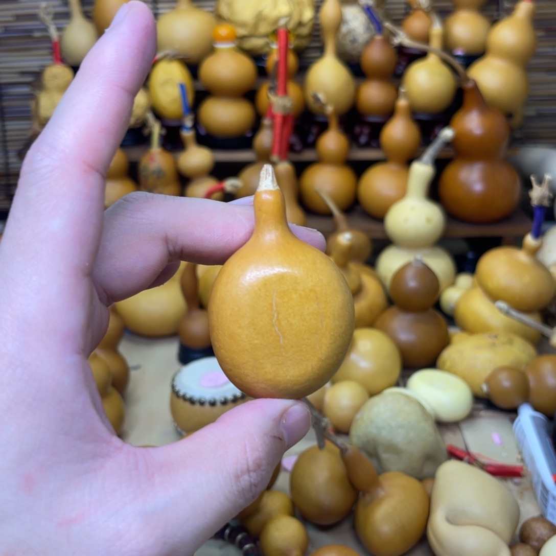 t油锤小夹扁厚皮不响籽6