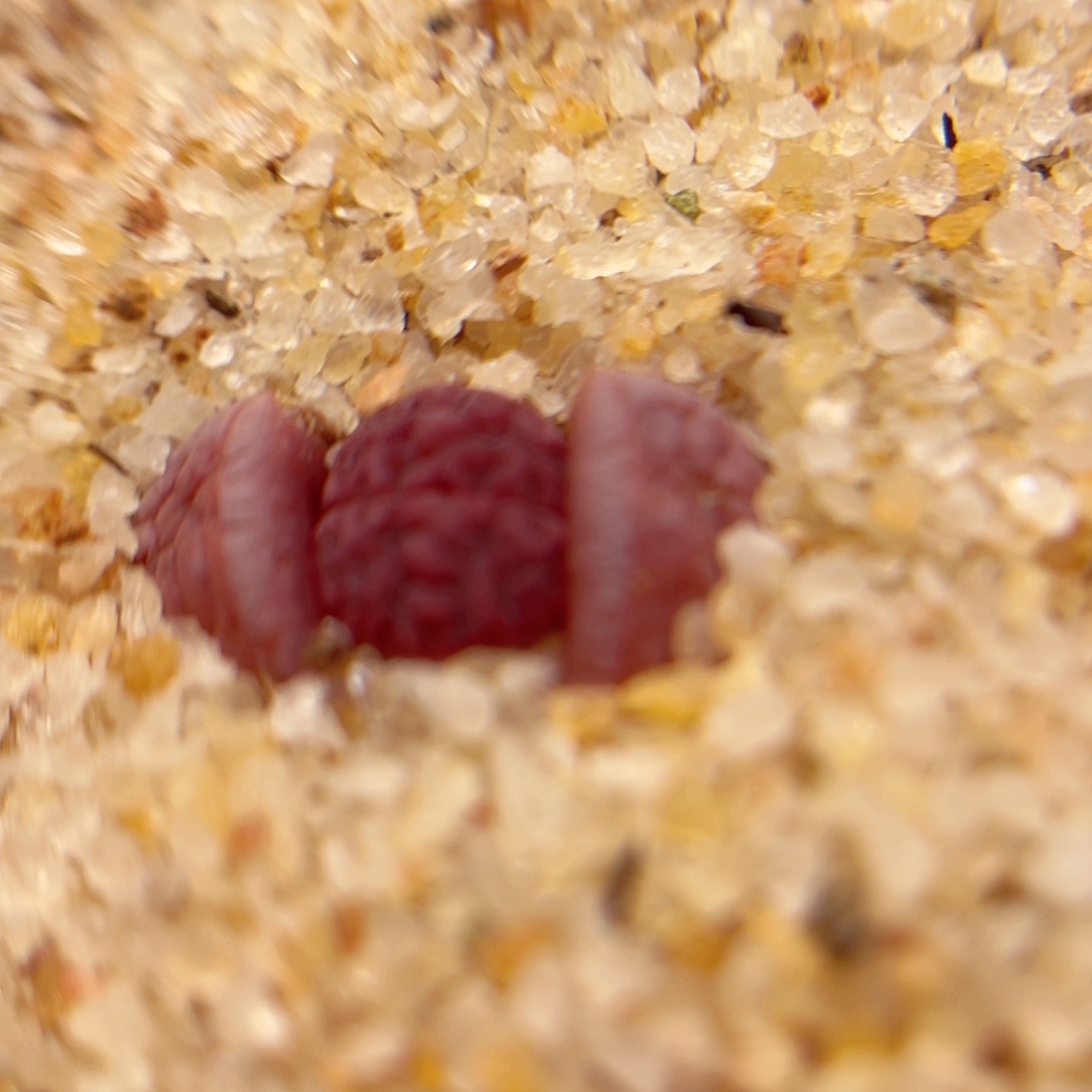 小***a050，678467568