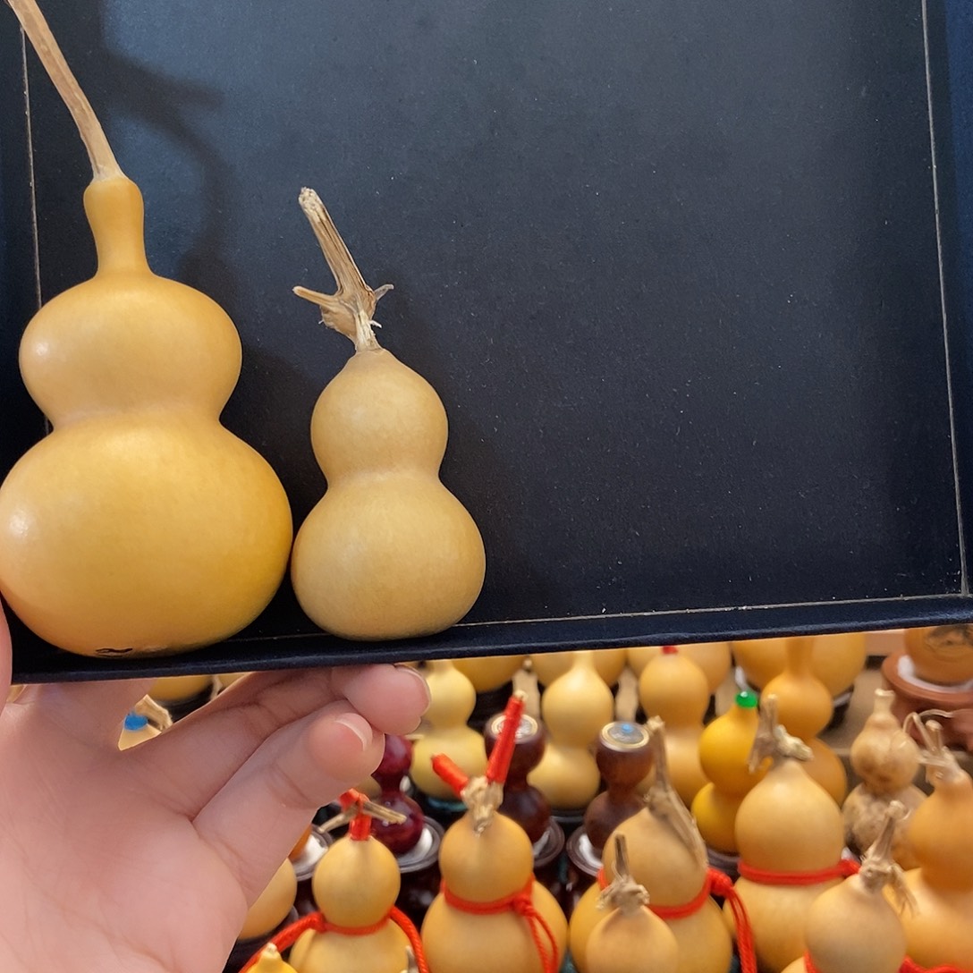 葫芦葫芦葫芦葫芦葫芦