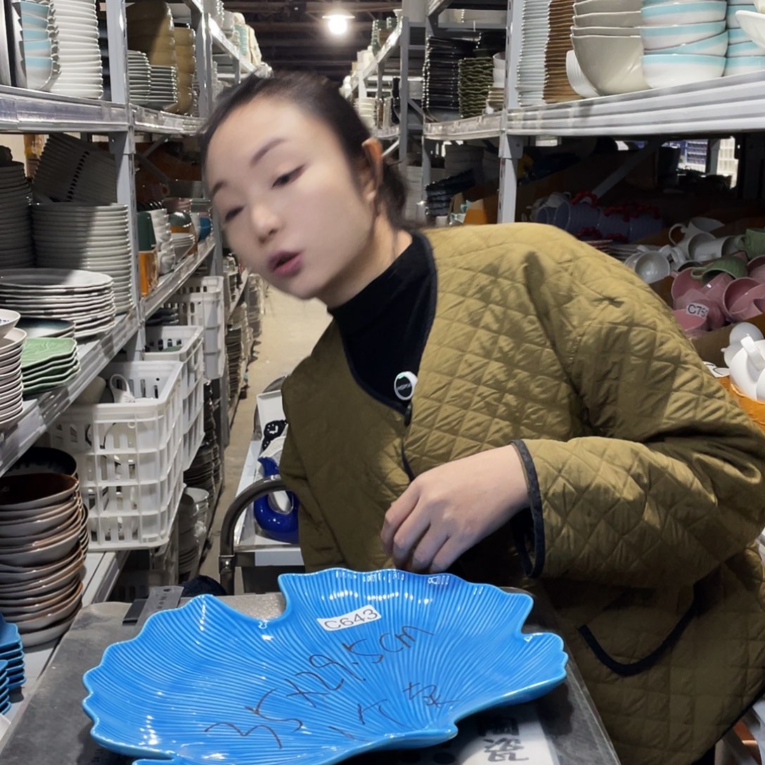 瓷片921                 1个