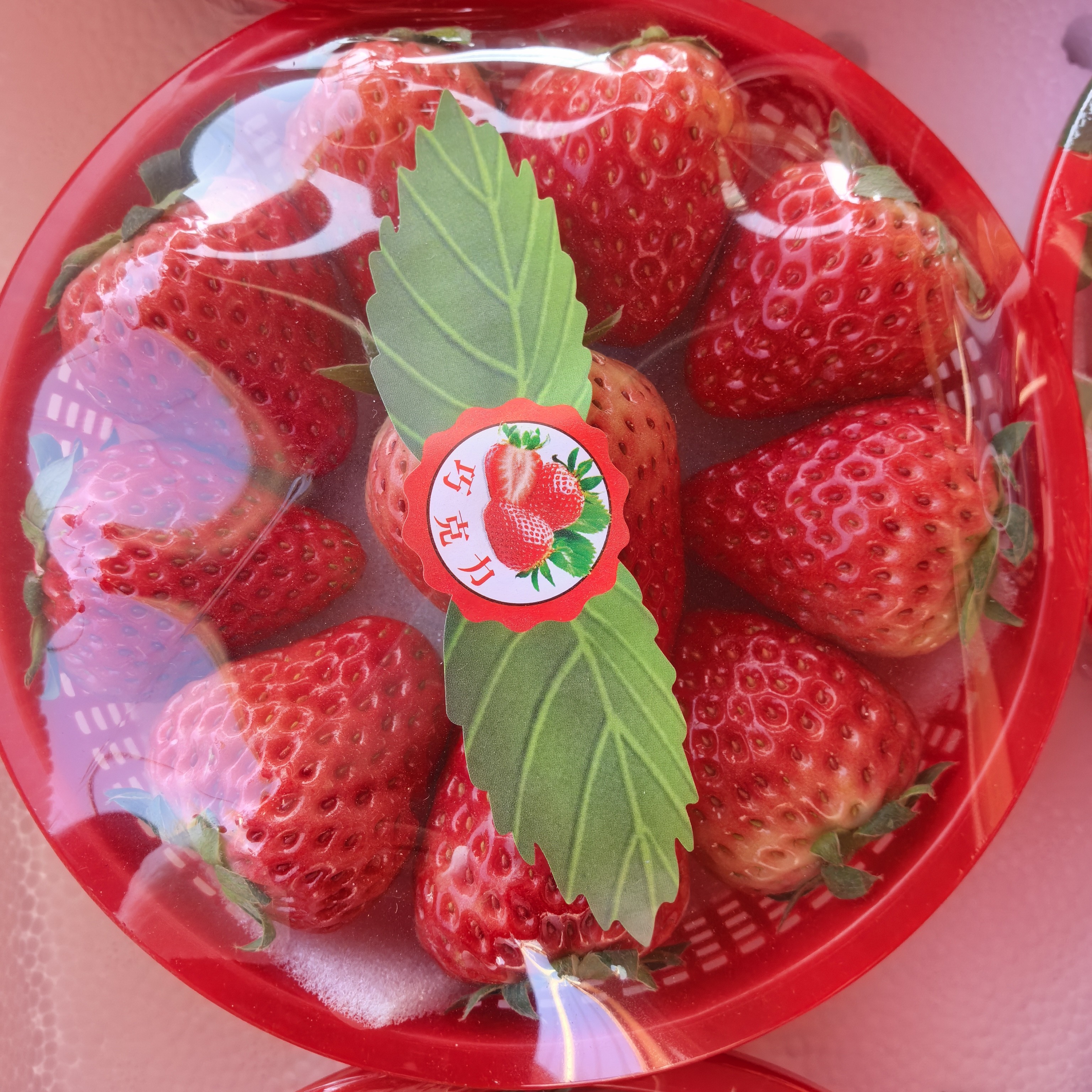 【空运】双流冬草莓/巧克力草莓400克/碗