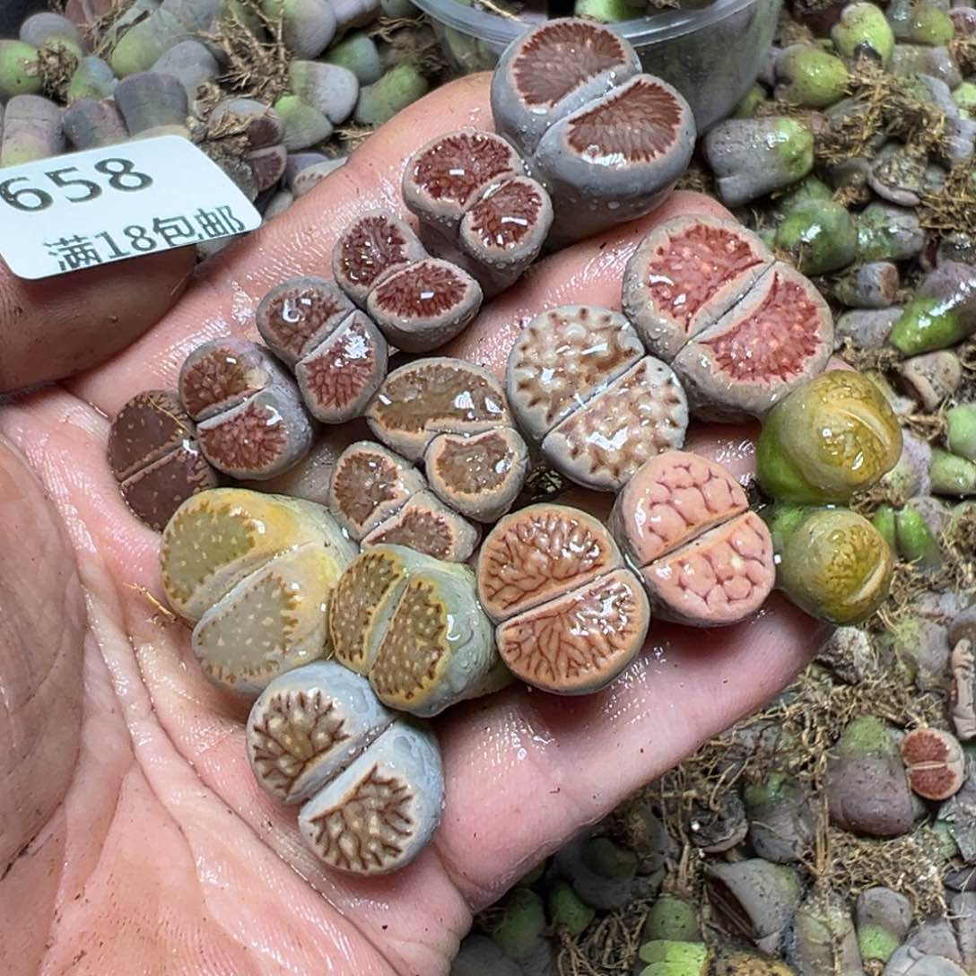 【闪购商品】 658。    