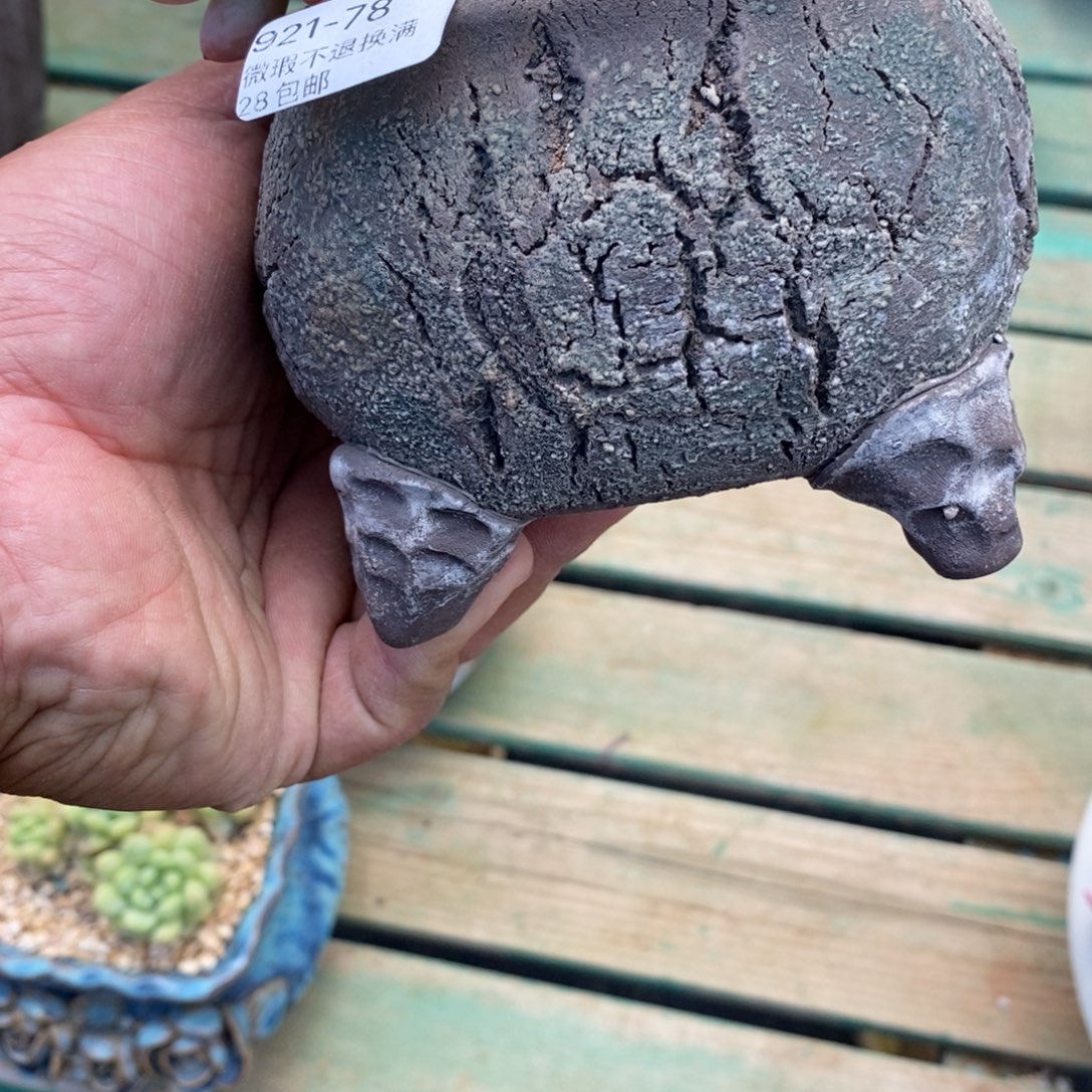 用***然78号花盆福利啦啦啦