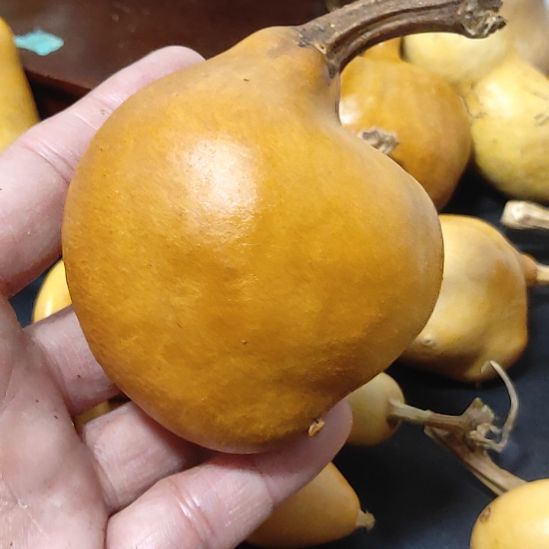 杍***曰哈哈哈哈哈哈哈哈哈