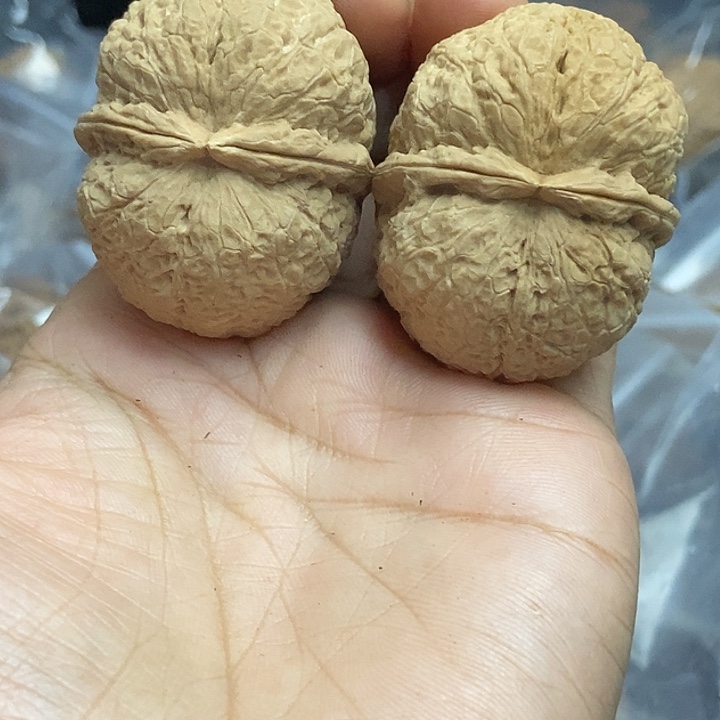 文玩核桃把件云南铁核桃基地22