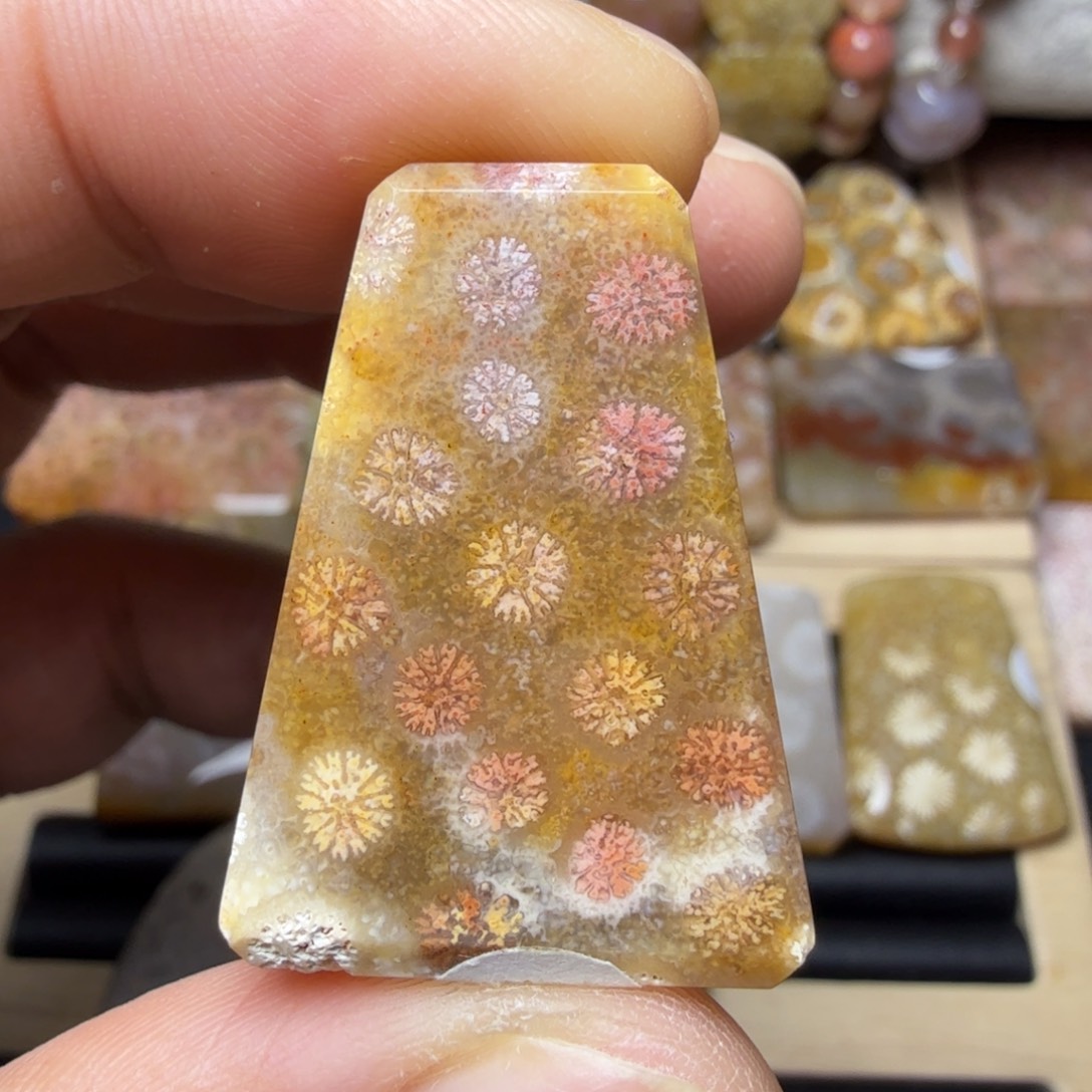 硅化玉未镶嵌纯天然色有机玉石保真色