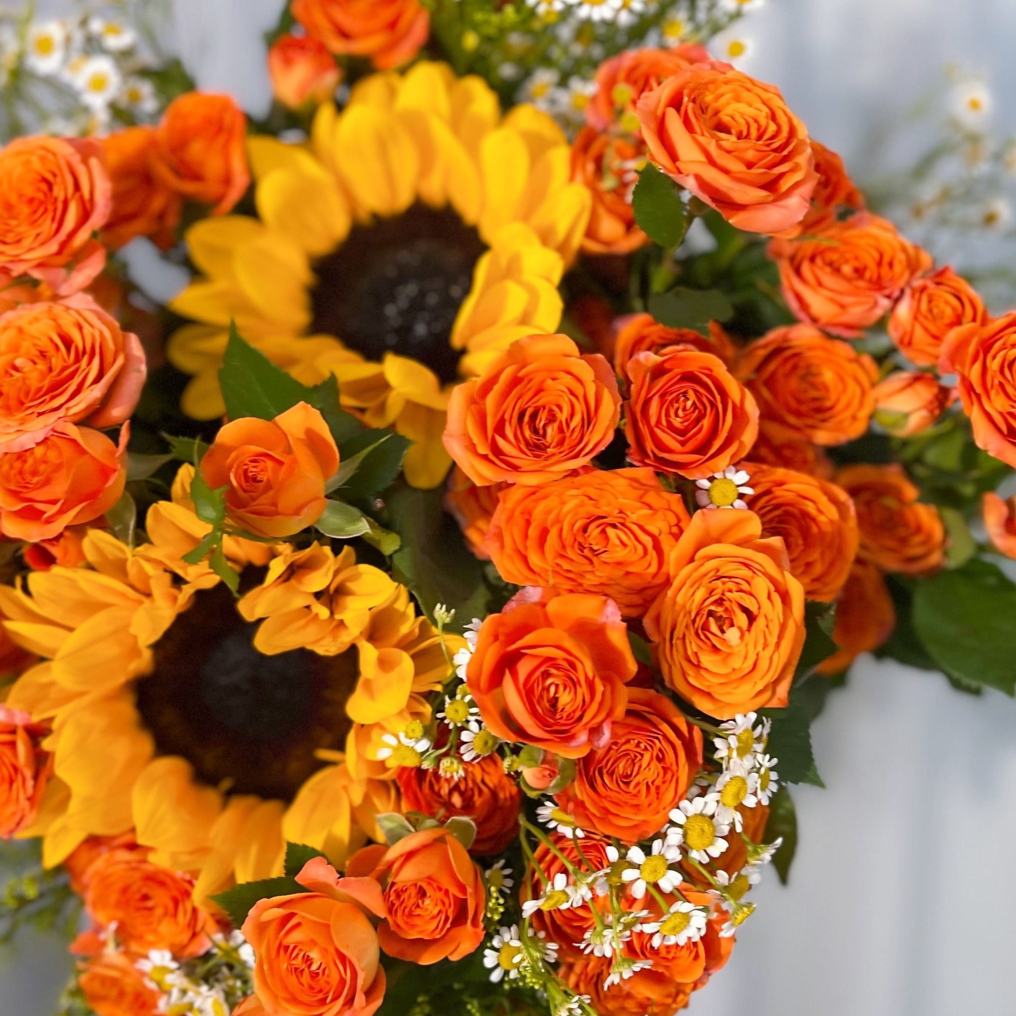 【精致生活花束】橙色芭比向日葵洋甘菊黄莺插花云南鲜花顺丰包邮