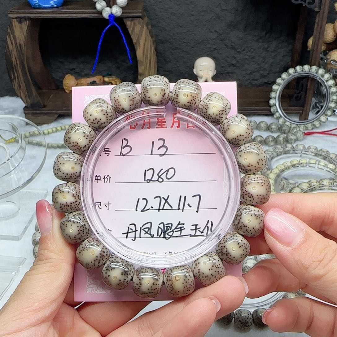 心月星月菩提一号B13