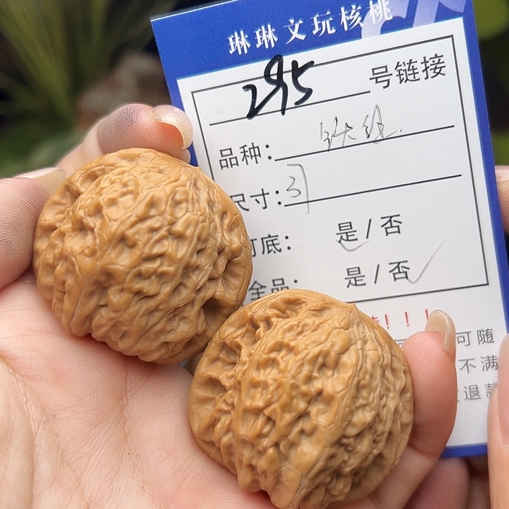 文玩核桃吊坠核桃树295