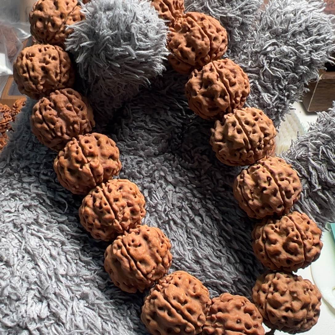 手串金刚菩提龙骨