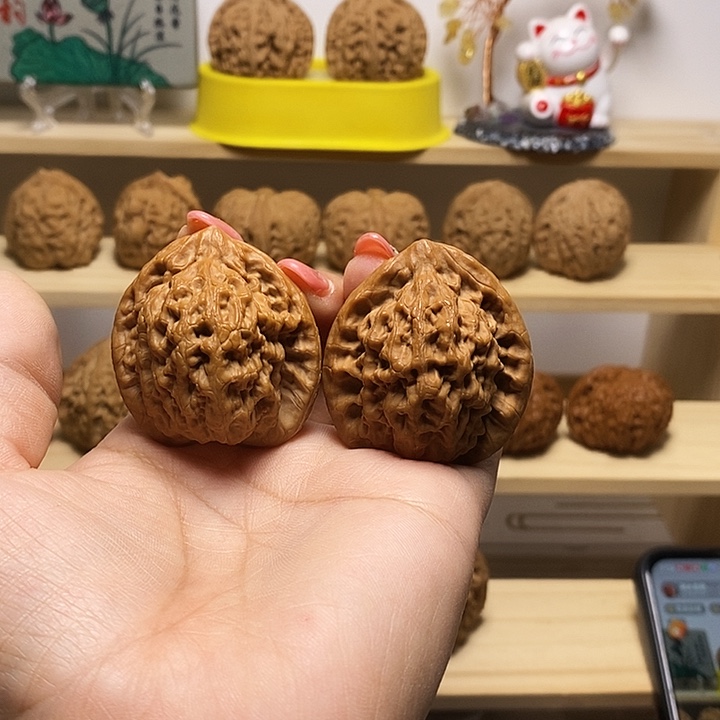 41尺寸的金公子核桃