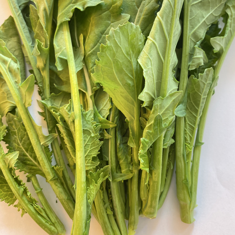 农家自种新鲜油菜苔菜心现摘现发鲜嫩青菜苔当季时令蔬菜油菜尖