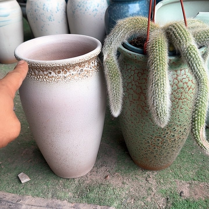 微瑕花盆来啦哈哈