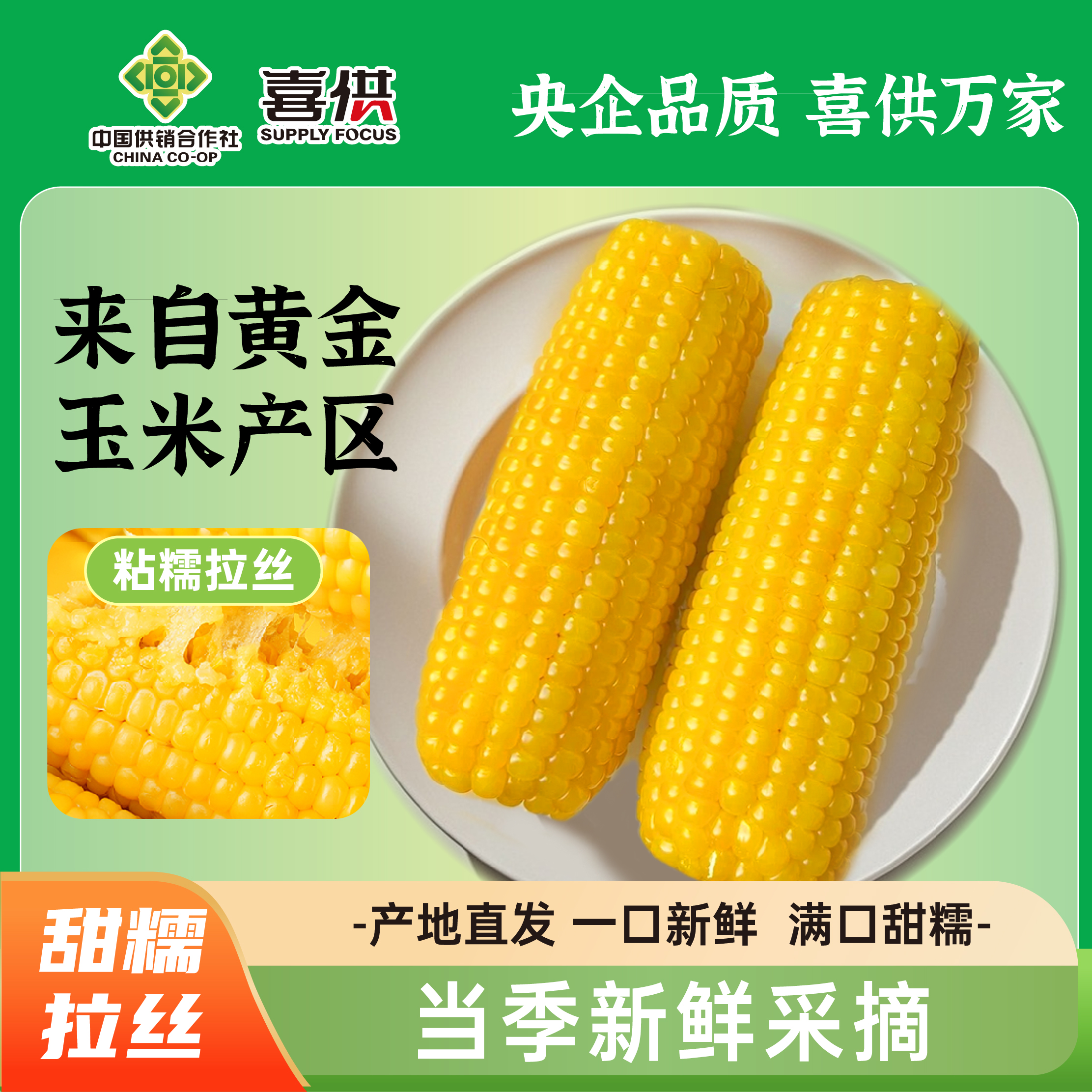 【央企品质】25年东北黄糯玉米300-350g*10根软糯香甜饱腹代餐粗粮