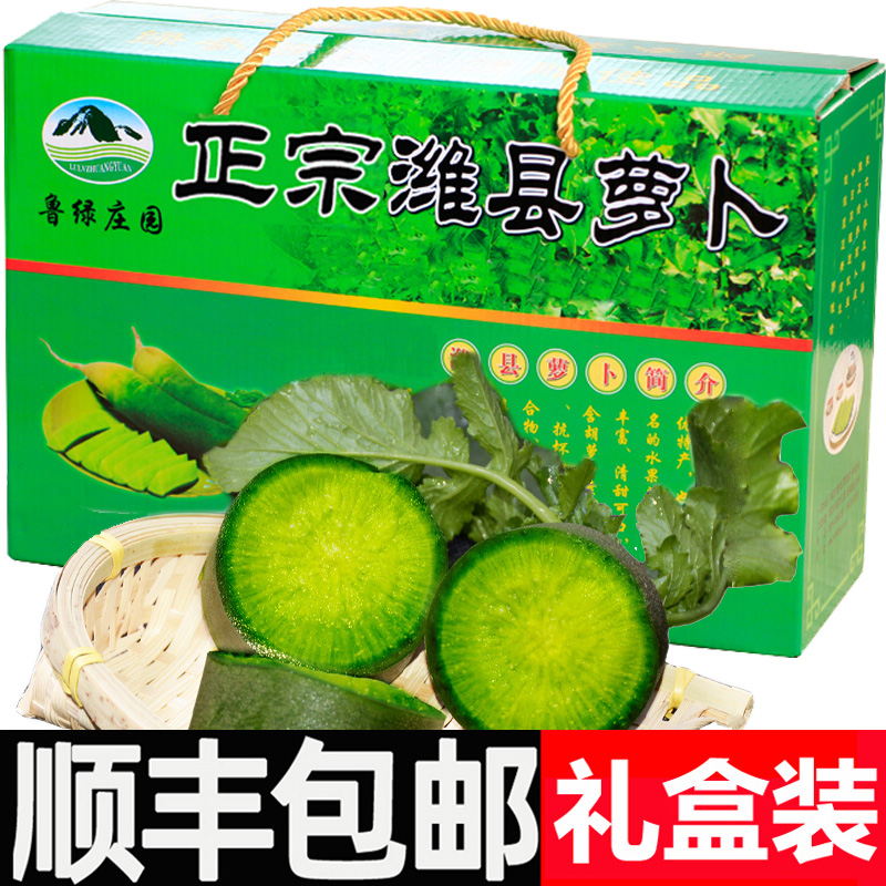 正宗潍坊水果青萝卜脆甜生吃潍县新鲜蔬菜冰淇淋紫美人顺丰礼盒 1