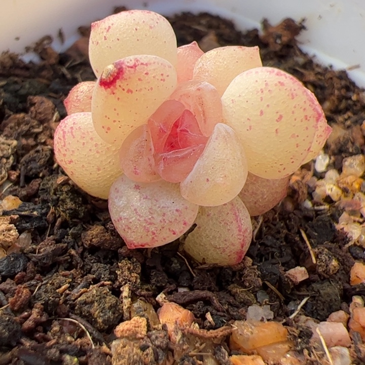 暖***52025专拍链接啊阿啊阿