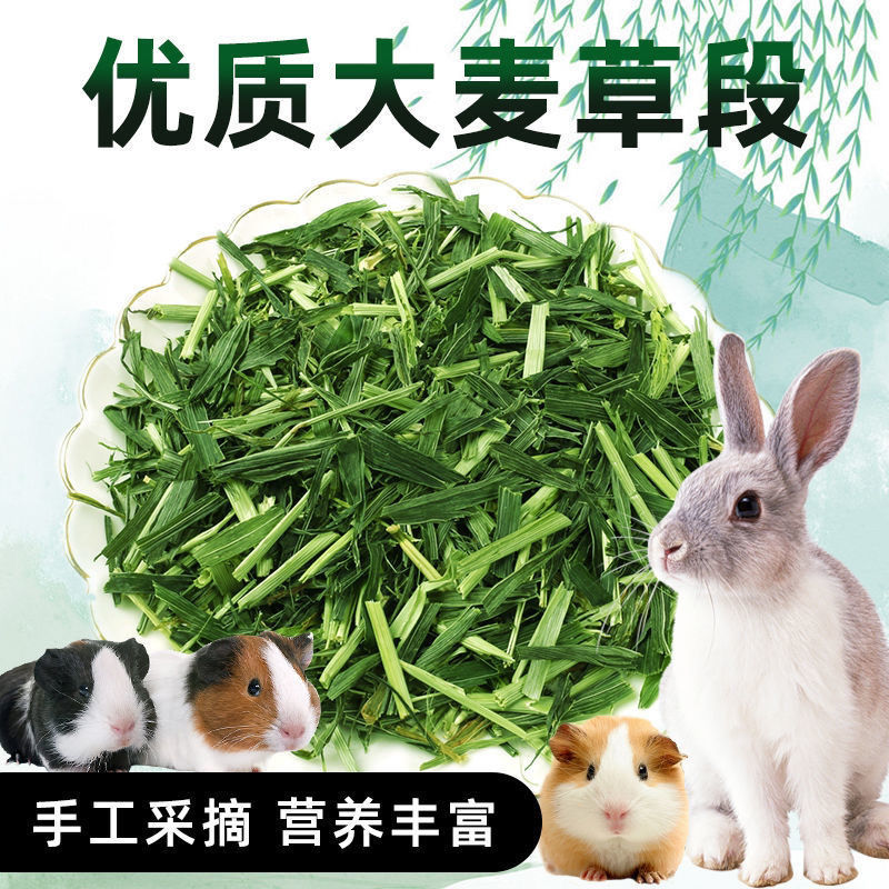 烘干大麦草段兔子龙猫豚鼠猪天竺鼠仓鼠干草饲料粮食