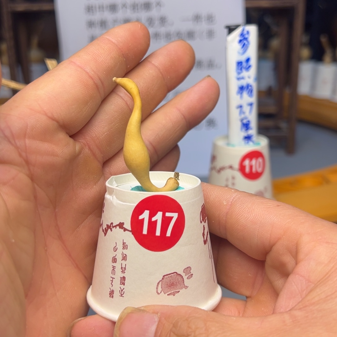 闪电购自助下单编号117